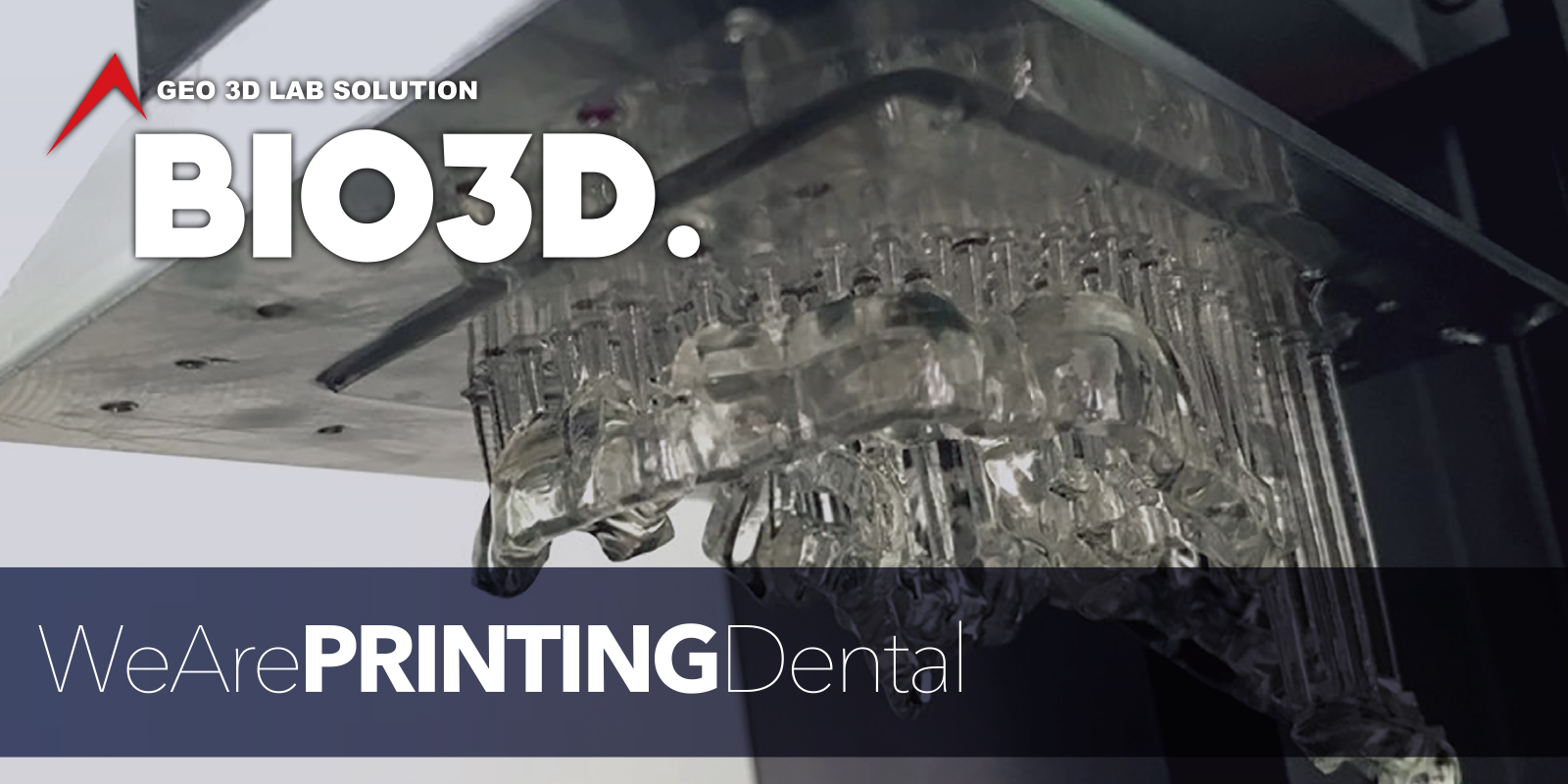 バイオ3d 3dプリンター キャムシステム